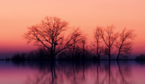 云达不莱梅保持不败，积分榜上升