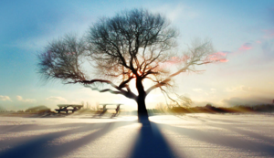 云达不莱梅保持不败，积分榜上升