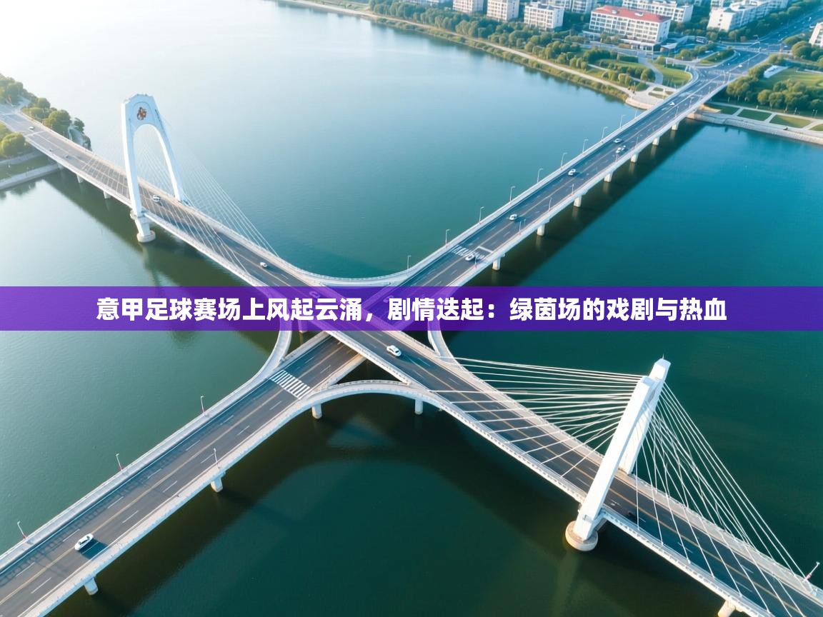 意甲足球赛场上风起云涌，剧情迭起：绿茵场的戏剧与热血  第2张