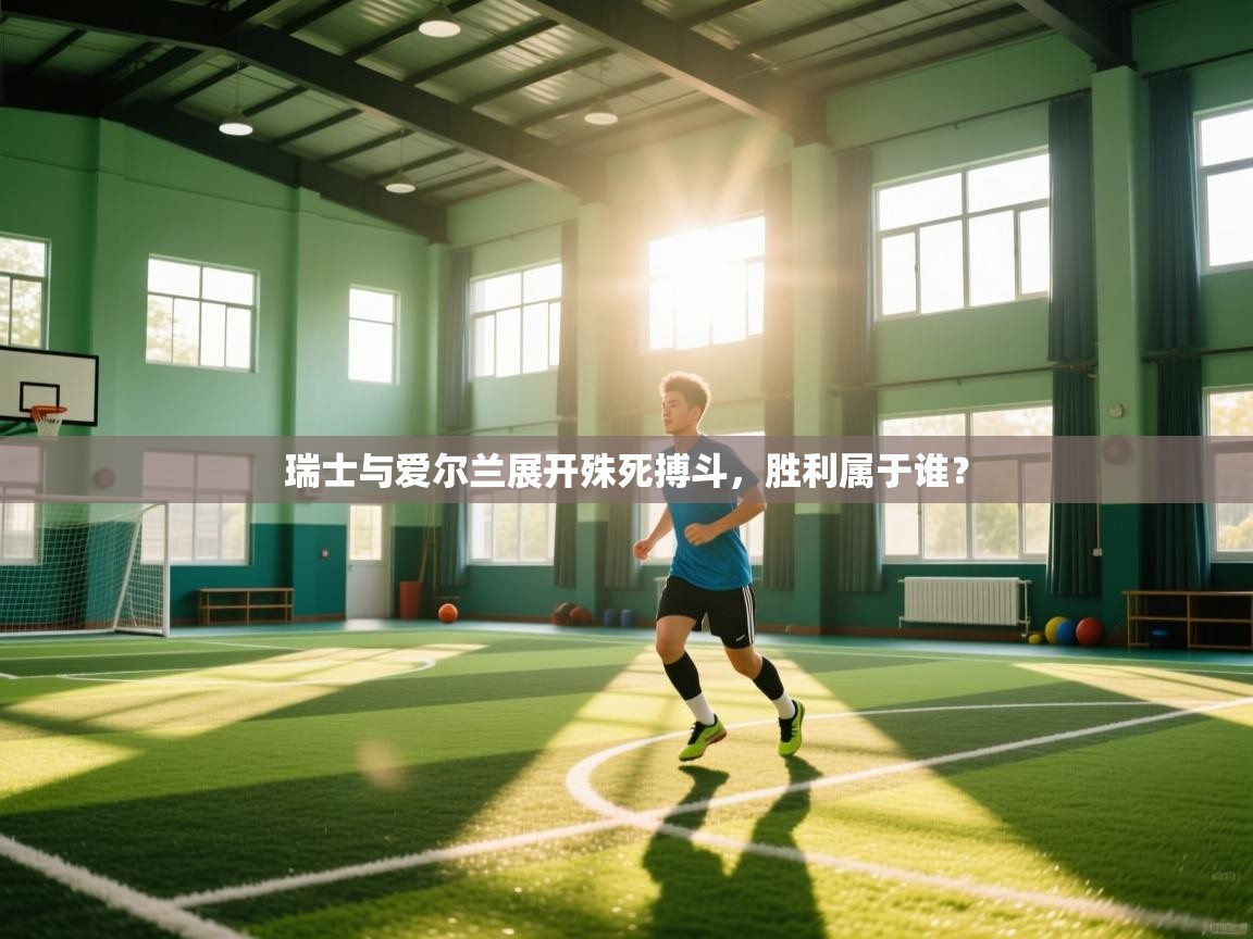 瑞士与爱尔兰展开殊死搏斗，胜利属于谁？  第1张