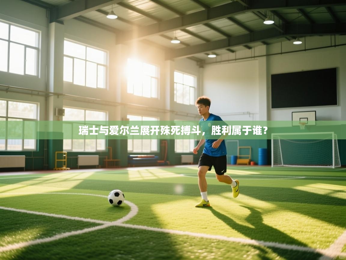 瑞士与爱尔兰展开殊死搏斗，胜利属于谁？  第2张