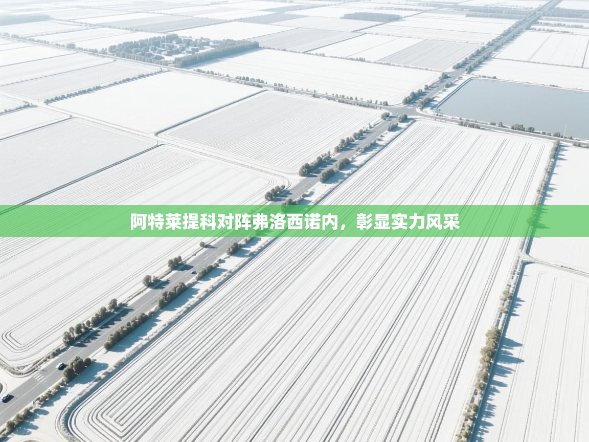 阿特莱提科对阵弗洛西诺内，彰显实力风采  第2张