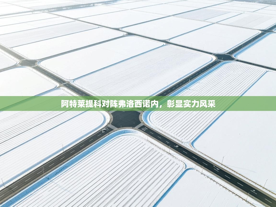 阿特莱提科对阵弗洛西诺内，彰显实力风采  第1张