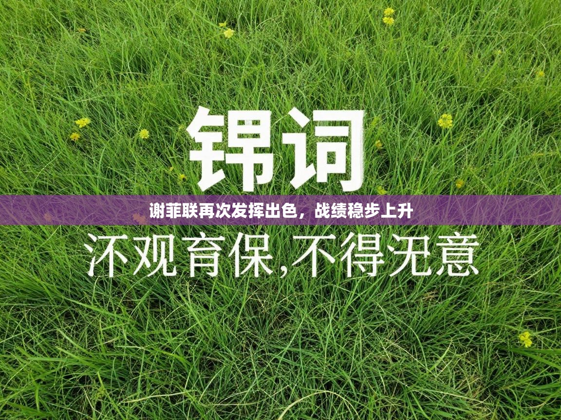 谢菲联再次发挥出色,战绩稳步上升 第2张